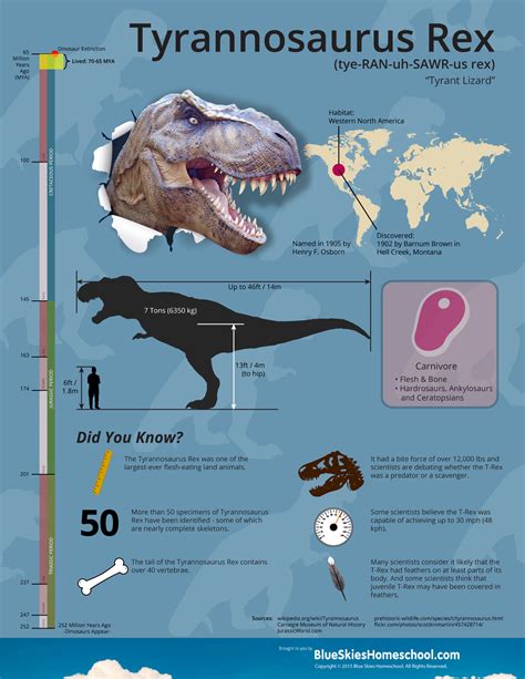 Tyrannosaurus Rex Dinosaur Fact Sheet & Infographic | Tyrannosaurus rex facts, Dinosaur facts ...