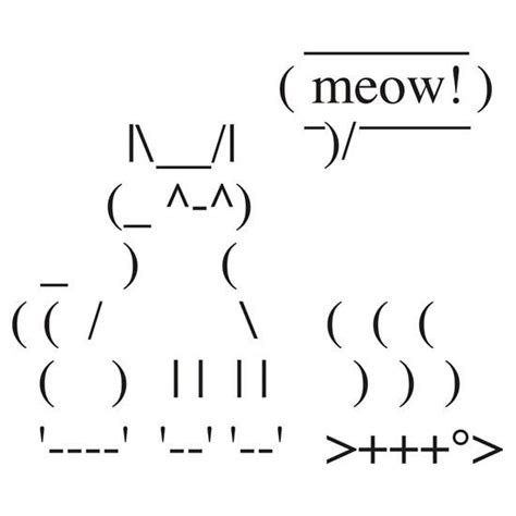 How to Make a Cat Using Keyboard Symbols - MaddenkruwAcosta