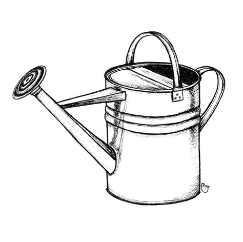 Watering Can Drawing by Bari Rhys - Fine Art America