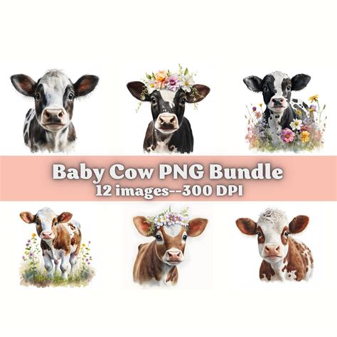 Baby Cow Clipart Farm Animals PNG Baby Cow PNG Calf - Etsy Canada