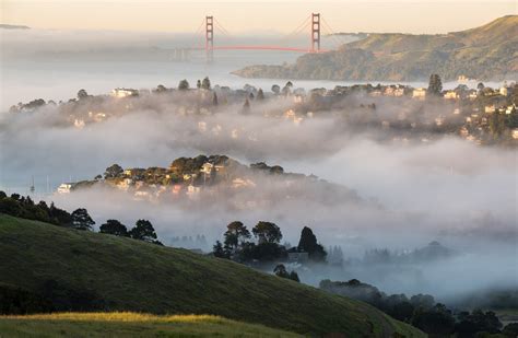 Fogs in San Francisco 2024 - Rove.me