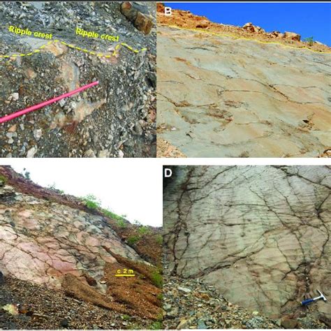 Logged stratigraphic sections of the uppermost Kubang Pasu Formation... | Download Scientific ...