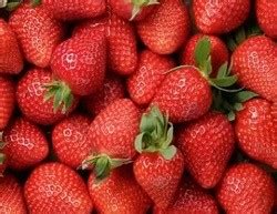 Wimbledon: Strawberries & Cream