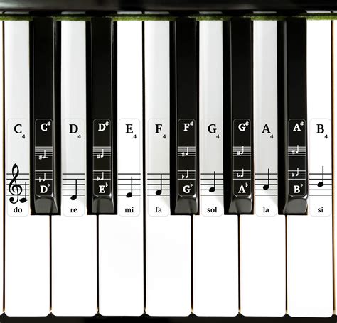 Musical keyboard stickers – for black and white keys