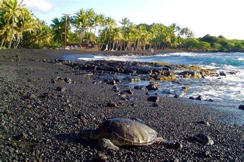 Tripadvisor | Premium Tour of Big Island - Black Sand Beach, Volcanoes ...