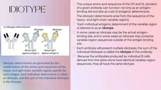 Antigenic determinants | PPT