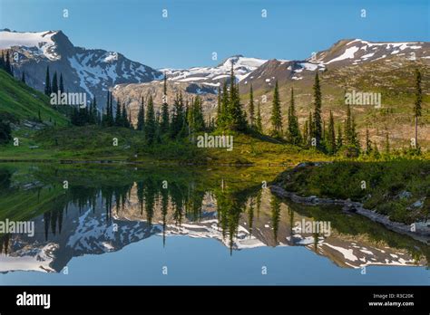 Canada, British Columbia, Selkirk Mountains. Marmot Lake reflection ...