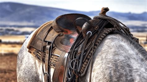 Horse Riding Essentials Packing List - Equestrian Adventuresses™