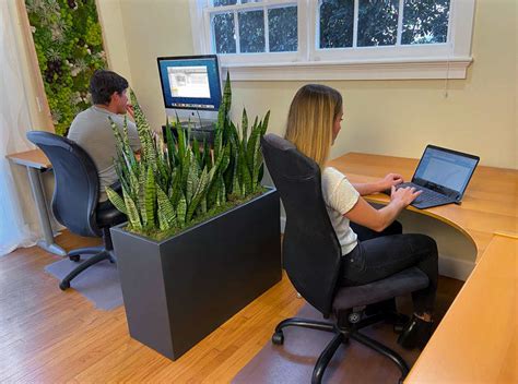 The Benefits of Adding Plants to Your Home Office - Greenleaf IPS - Blog