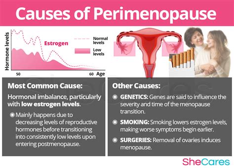 Perimenopause Symptoms | SheCares