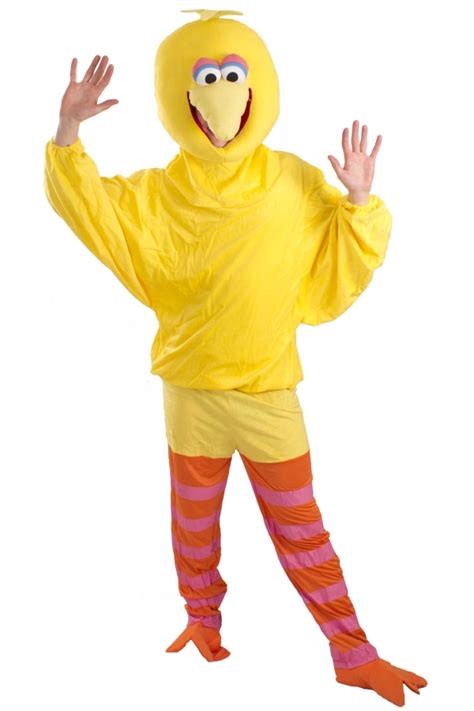 Big Bird Costumes (for Men, Women, Kids) | PartiesCostume.com