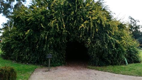 Bendigo Botanic Gardens | Goldfields Guide