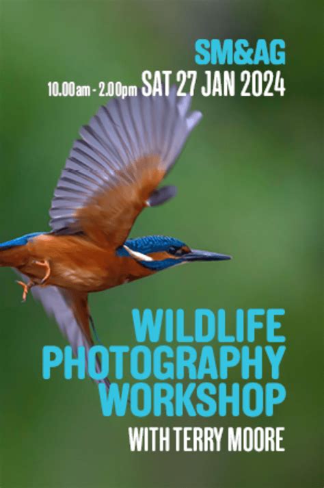 Wildlife Photography workshop at Shrewsbury Museum & Art Gallery event tickets from TicketSource