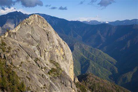 Living Legends: The Marvels of Sequoia National Park – From Sea to ...