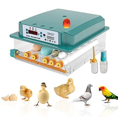 16 Best Chicken Egg Incubator: By 35,345 Reviews