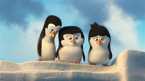 Cartoon Penguin Wallpapers - Wallpaper Cave