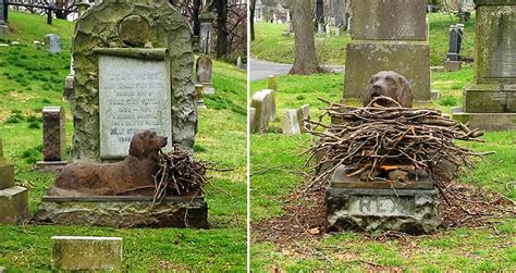 People Have Been Leaving Sticks On This Dog's Grave Who Died 100 Years Ago Greenwood Cemetery ...