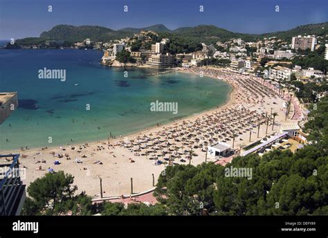 Paguera beach. Calvià area coast. Majorca, Balearic Islands. Spain ...