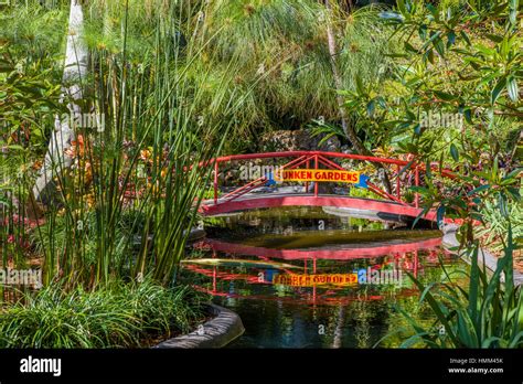 Sunken Gardens 100 year old botanical gardens in St Petersburg Florida Stock Photo - Alamy