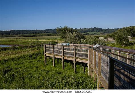 14 Humboldt Bay National Wildlife Refuge Images, Stock Photos, 3D ...