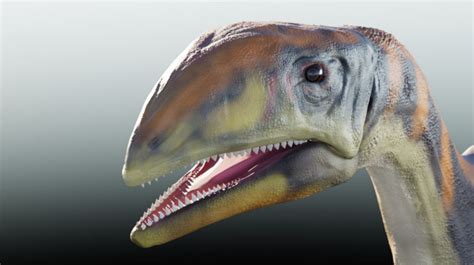 Terra Nova Dinosaur Species