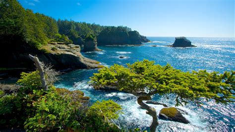 Top 10 Hotels Closest to Cape Flattery in Neah Bay from $100 | Expedia