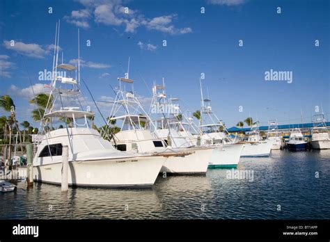 Sportfishing boats at Whale Harbor, Islamorada, Florida Keys, Florida Stock Photo - Alamy