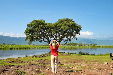 What to Expect on a Ngorongoro Crater Safari: Ultimate Guide