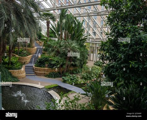 Tropical gardens under glass, part of the Bannatyne Health Club and Spa, Milton Keynes, UK Stock ...