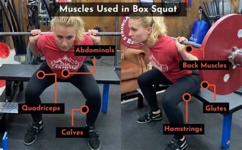 Box Squat vs Back Squat: Differences, Pros, Cons ...