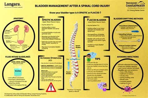 Bladder Management - Living With Spinal Cord Injury