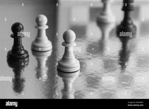 Photograph of black and white chess pieces. Strategy game. Pawns with reflections on original ...