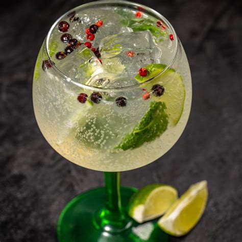 Bright Spanish Gin and Tonic Recipe - Visit Southern Spain