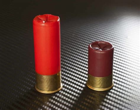 Should You Shoot 410 Bore Shotgun Shells In A Judge? – JudgeDumas