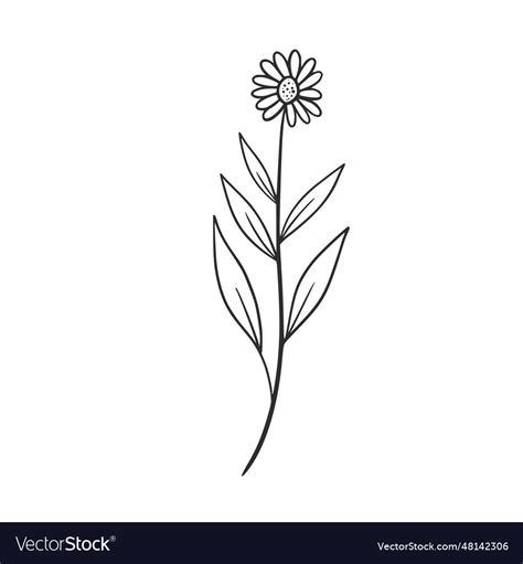 Wildflowers Royalty Free Vector Image - VectorStock