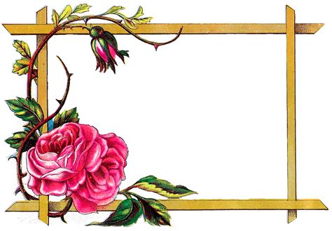 Flower Background Design, Frame Border Design, Floral Border Design D6E