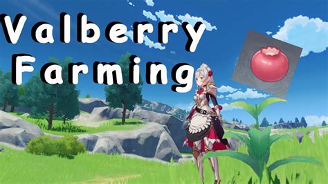 Valberry Locations - Genshin Impact - Guide - YouTube