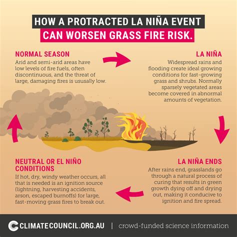 Grass fires follow floods: Here’s what you need to know | Climate Council