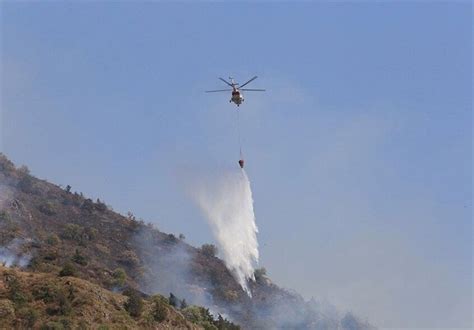 Aerial Operation Underway to Put Out Forest Fire in North Iran - Society/Culture news - Tasnim ...