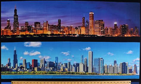 24.5" X 44" Panel View of Chicago Day and Night Cityscapes Skyline Nightscape City Lights ...