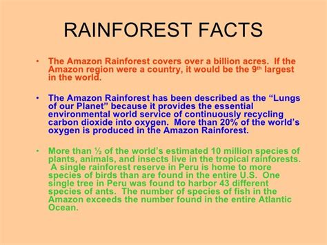 Rainforest Facts