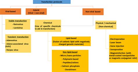 Transfection types, methods and strategies: a technical review [PeerJ]