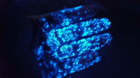 Beautiful Bioluminescence algae (Noctiluca scintillans) | Bioluminescence, Bioluminescent algae ...