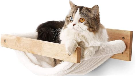 Best cat hammocks 2024: Deliver a purrfect perch | PetsRadar