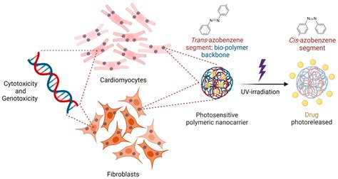 Polymers | Free Full-Text | Cytotoxicity and Genotoxicity of Azobenzene-Based Polymeric ...