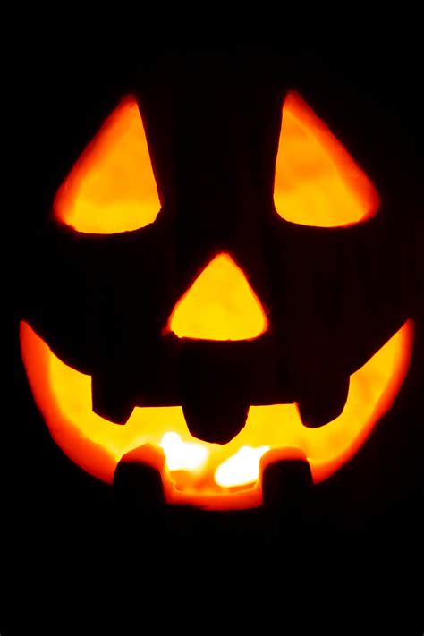 Halloween Pumpkin Faces Free Stock Photo - Public Domain Pictures