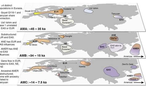 Ancient Eurasian DNA sequencing is revealing links with modern humans | Ancient humans, Dna ...