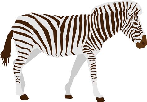 Zebra animal flat vector design isolated 11107892 PNG