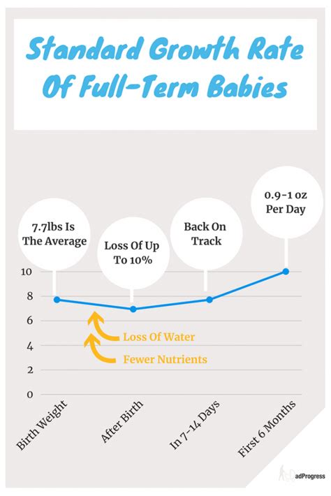 What's the Best Baby Scale? Top 10 Infant Scales Reviewed