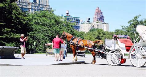 Central Park Carriage Rides | Horse Drawn Carriage NYC